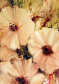 Velours