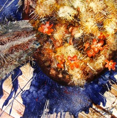 Fleurs et cactus