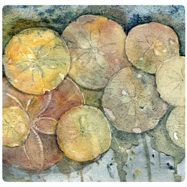 Fleurs de sable