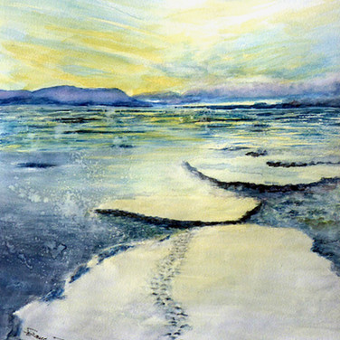 15- Expédition en Arctique