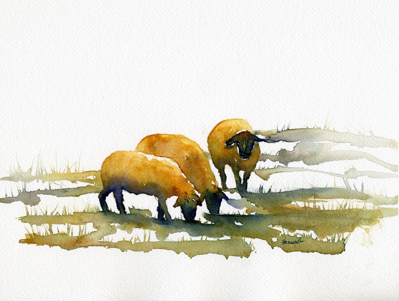 Moutons_à_Turbide005