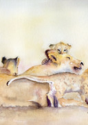 Tendresse