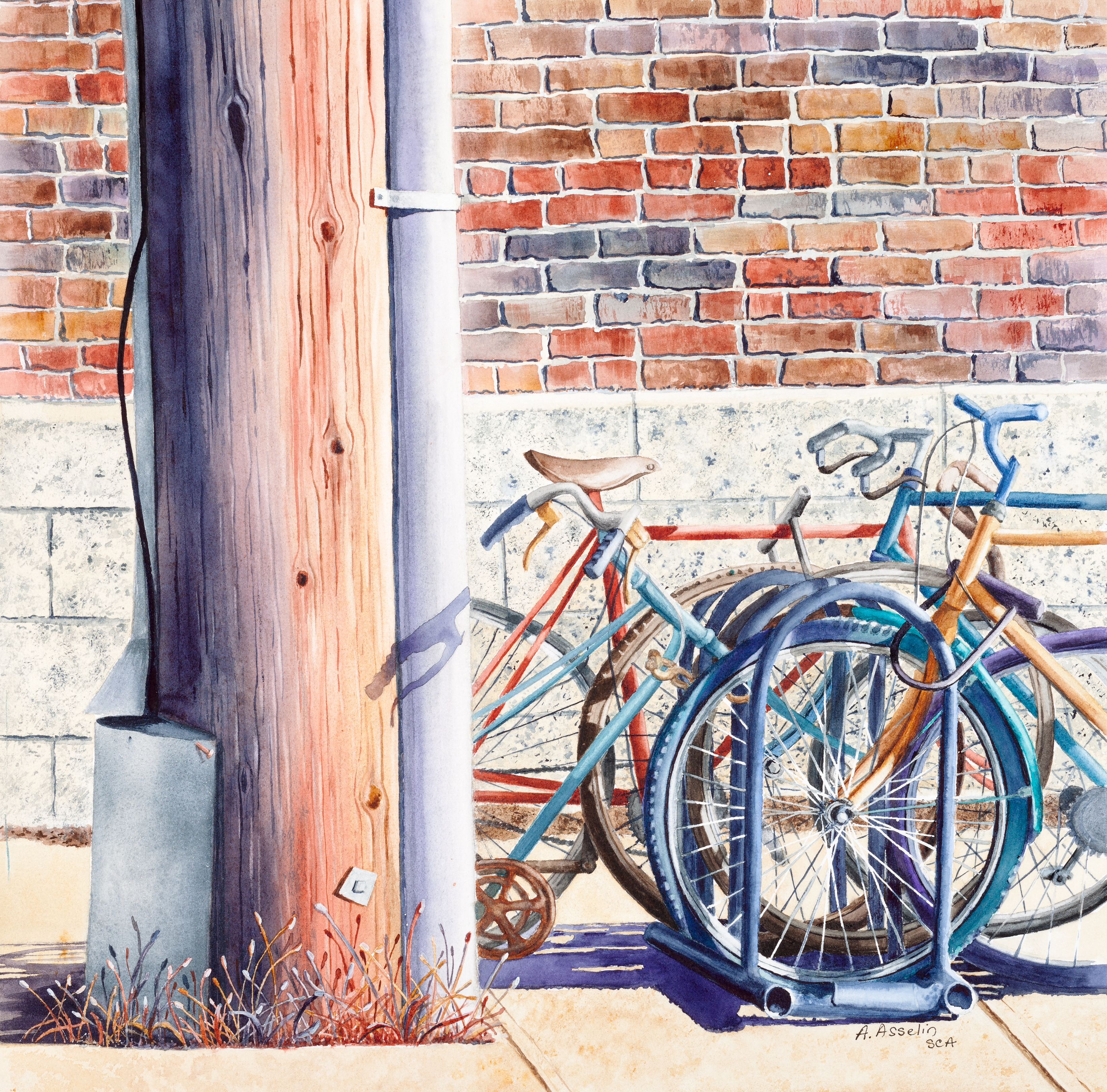 Vélo-cité