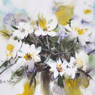 Coquettes fleurettes