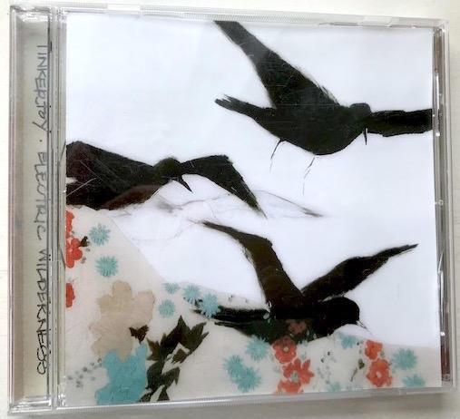 CD cover art | "Electric Wilderness" by Tinkertoy
2004