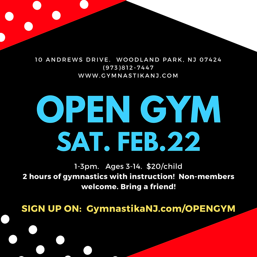 Open Gym: Saturday, February 22nd!