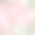 Soft, pink and green.jpg