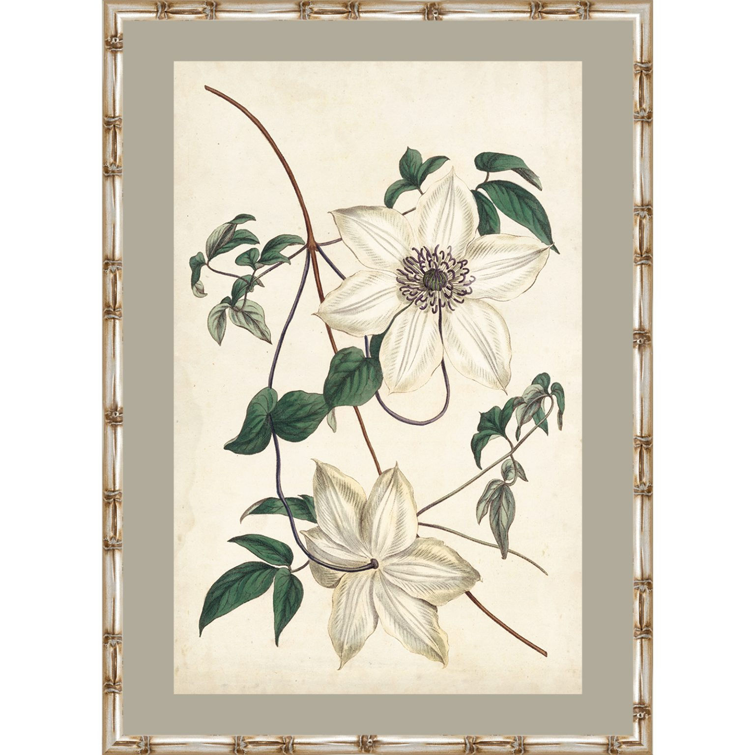 Picture CURTIS:IVORY GARDEN2 :50X70