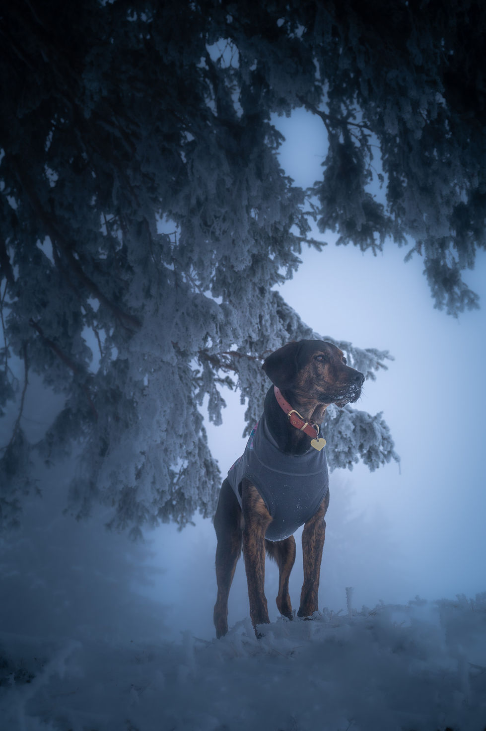 Pam, Caya und Damon (8)