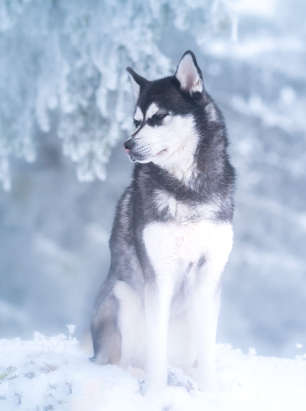 Pam, Caya und Damon (23)