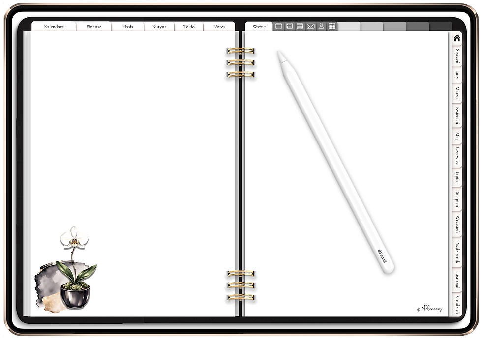 Miniatura: Lady Boss Planner/Digital Planner