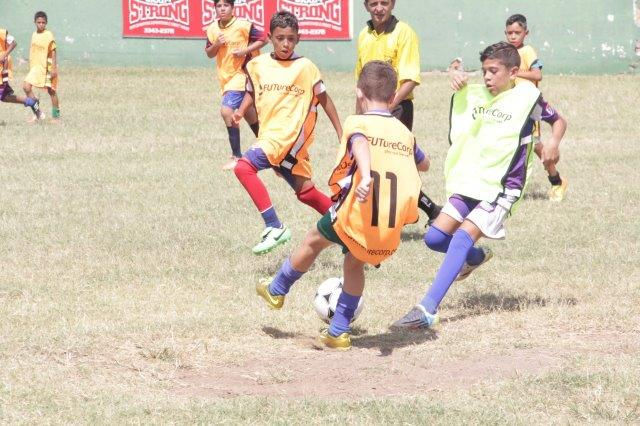 almir 6 (8)