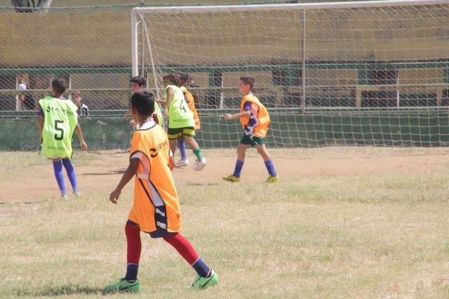 almir 6 (9)