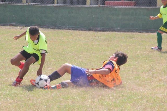 almir 6 (10)