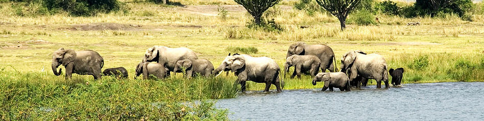 southern_queen_elizabeth_national_park_1