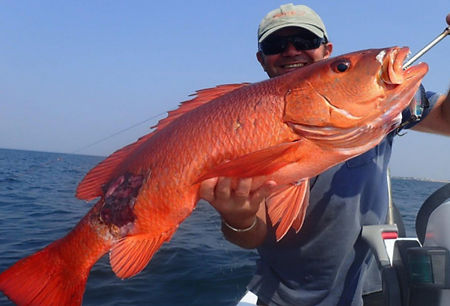 Pêche sportive au Gabon