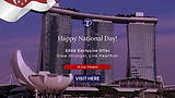 TD National Day banner.jpg