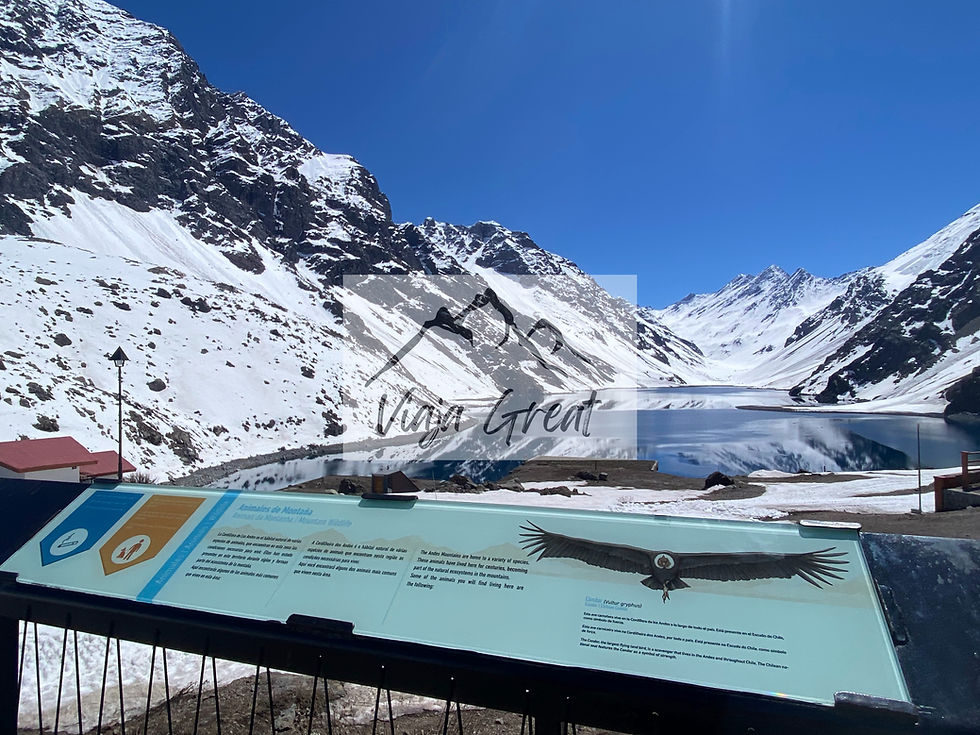 Portillo y Granja de Alpacas