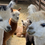 Thumbnail: Portillo & Alpacas Farm