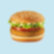 Veg Burger Patty