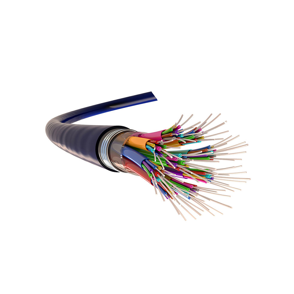 Fiber Optic