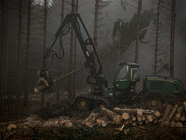 Delve into the Mind of Me