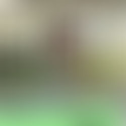 🎭 Das war’s… oder doch nicht?