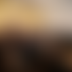 🌿 Heimatabend im Landhaus Studnitz – Geschichte rund um das Ohrdrufer Kupferschloss 🏰