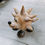 Thumbnail: Hedgehog with wire legs
