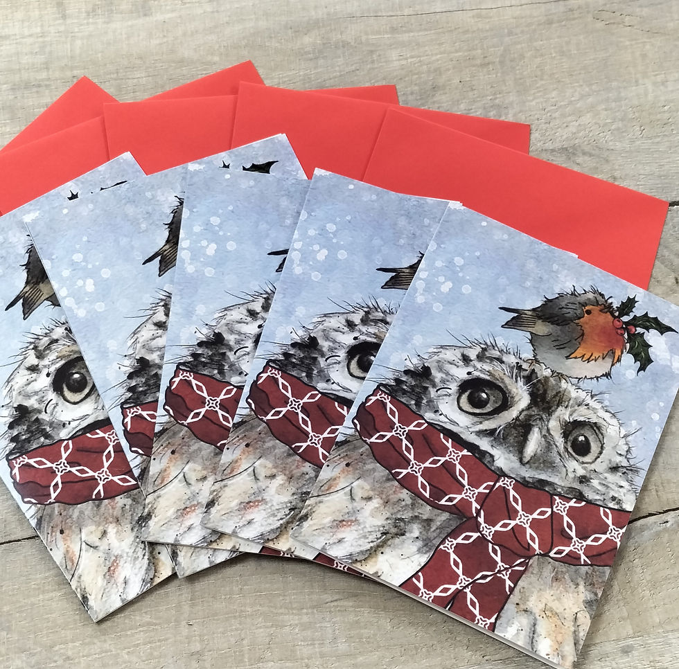 Christmas owl and robin cards, Pack of 5