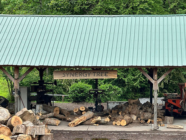Synergy Tree log splitting facility with wood logs under a green metal roof.