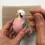 Thumbnail: Budgie Needle-Felting Kit Pink