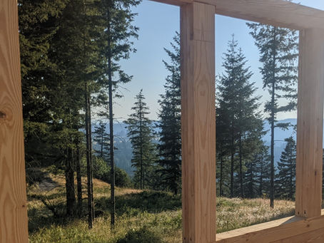 Mass timber is trending