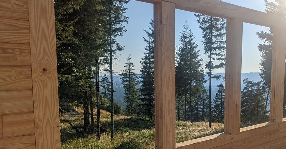 Mass timber is trending