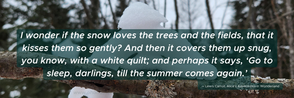 Winter Solstice Offering