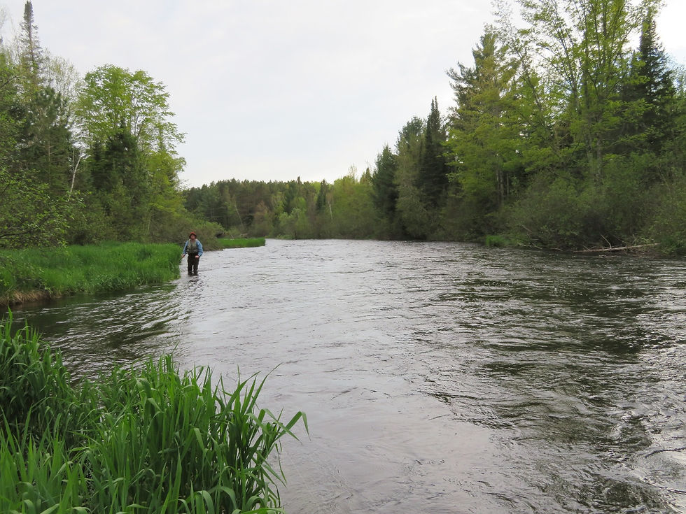 Ron Weber wading in the Namakagon