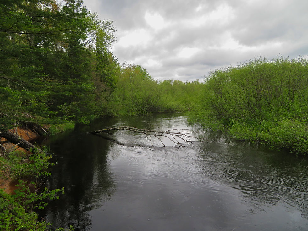 The Fox River, which plays the Big Two-Hearted River in Hemingway's story of the same name.