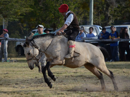 Not My First Rodeo