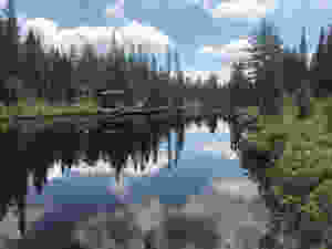 Frenchman's Pond aka Uncles