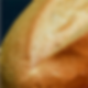 Bolillo