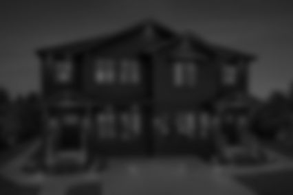 Twin Pines - Background.jpg