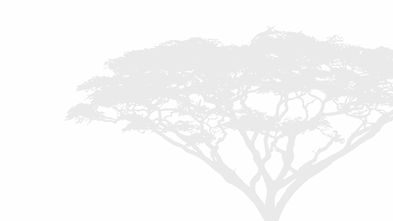 Artboard 1_edited.jpg