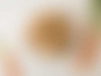 FEED Favorites for SPRING