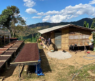 Thailand2-e1661345623326.jpeg