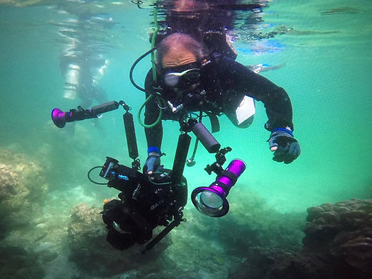 Bashar_Underwater.jpg