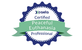 caeta logo.png