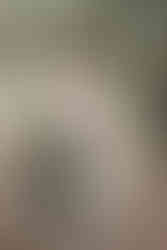 @blogcaroninha - ensaio de família - ensaio bebe - camila soares e babuska fotografia - ensaio em florianopolis