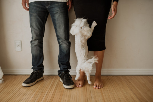 Ensaio gestante lifestyle em estúdio de luz natural