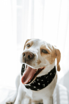 Ensaio gestante lifestyle no estúdio de luz natural