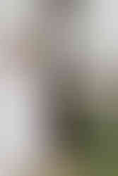 Ensaio gestante lifestyle em casa